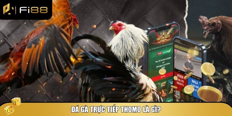 Những trận cá cược đá gà trực tiếp Thomo mang đến trải nghiệm chân thực và kịch tính